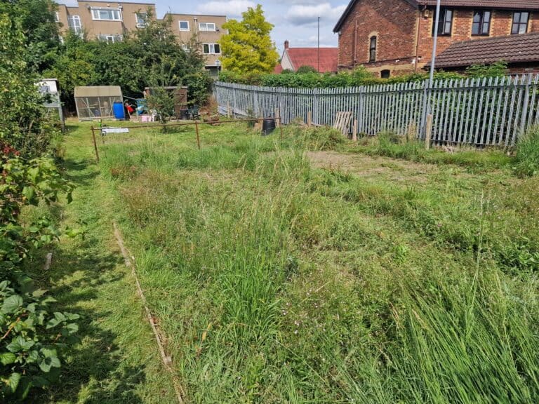 Day One on the Plot: The Journey Begins