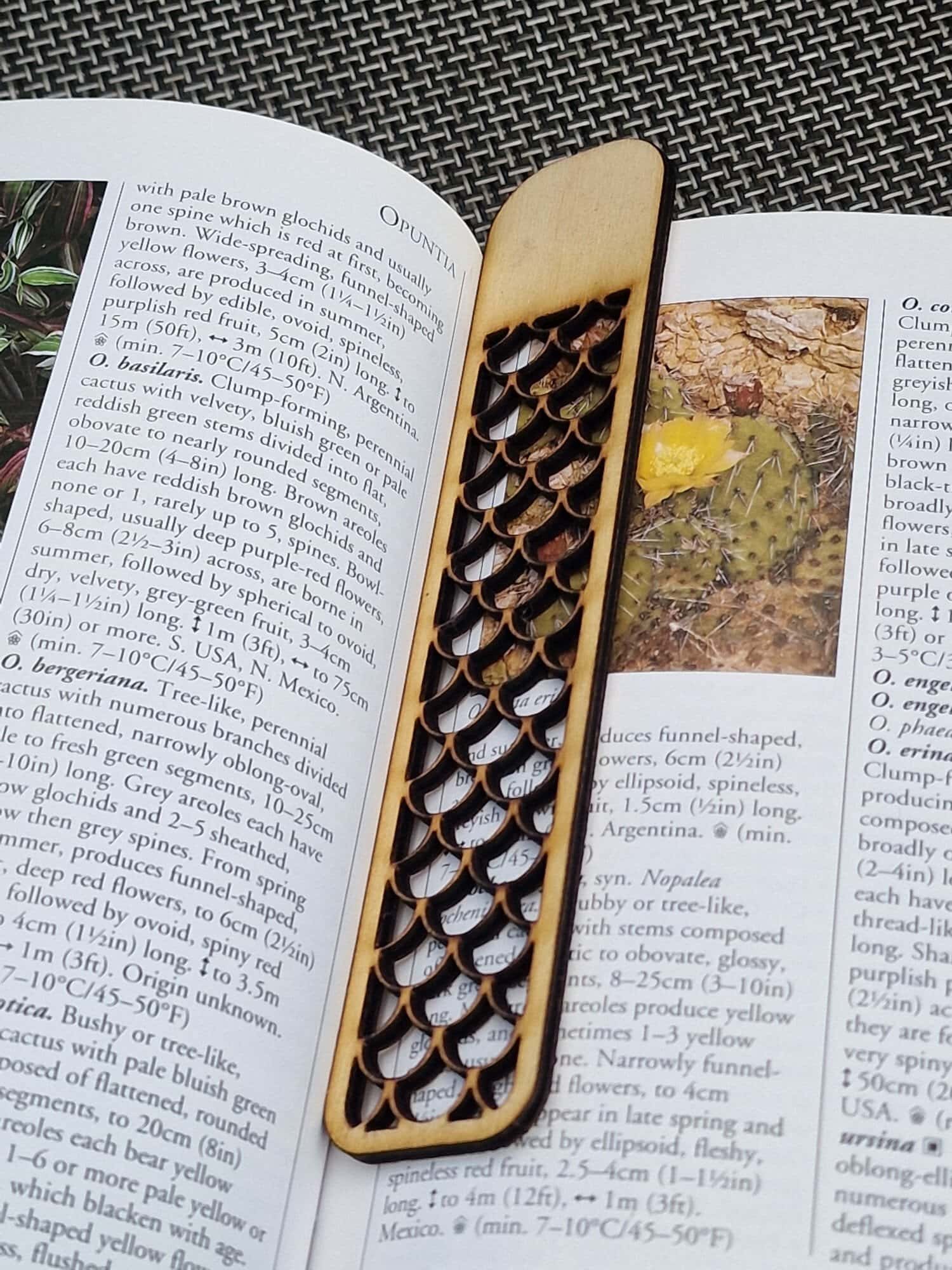 Geometric Wooden Bookmark – Design 5