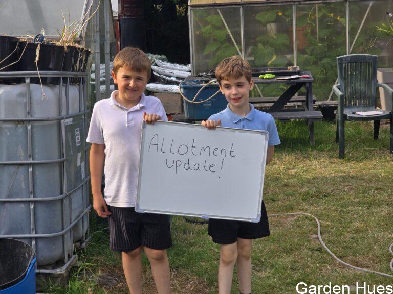 Our Allotment Adventures: Growing Memories with the Kids