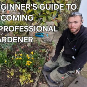 Beginners Guide To Becoming A Professional Gardener