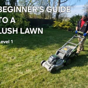 Beginner’s Guide to a Lush Lawn
