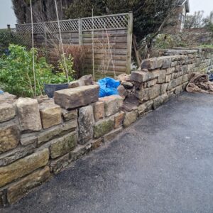 IMG-20250131-WA0001