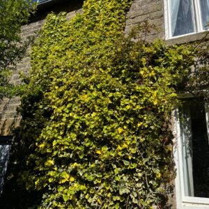 IMG-20260429-WA0006