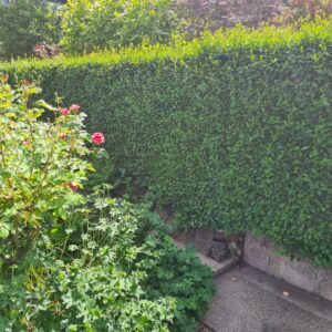 IMG-20260529-WA0025