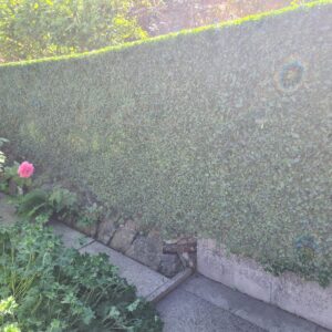 IMG-20260529-WA0026