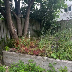 IMG-20260704-WA0004