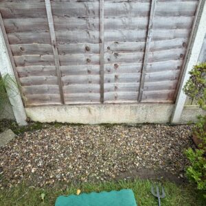 IMG-20260731-WA0003